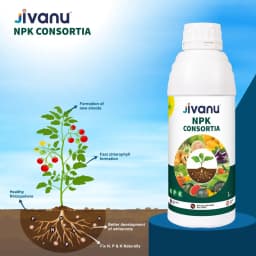 Green Revolution Jivanu NPK Consortia Bacteria Liquid Bio Fertilizer, Improves Soil Fertility And Plant Health. 5