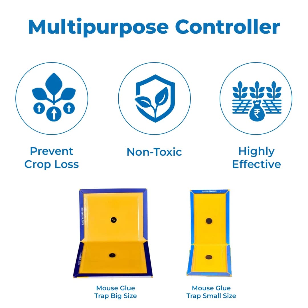 Mouse Glue Trap, RATO\'N TRAPPER Can be used for Home, Warehouse, Agriculture, Factory, False Ceiling. Ready to use product. - Image 3