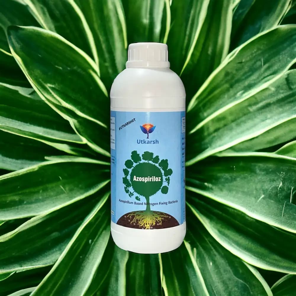 Utkarsh Azospiriloz (Azospirillium Based Bio Fertilizer For Nitrogen Fixing) It Enhances Soil Health by Promoting Beneficial Microbial Activity - Image 2