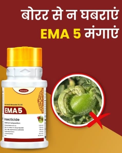 कात्यायनी इमा5 इमामेक्टिन बेंजोएट 5% एसजी, पौधों और घरेलू उद्यान के लिए कीटनाशक। - Image 2