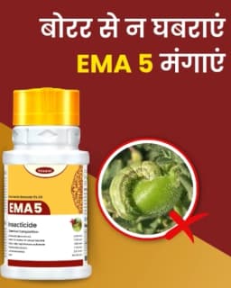 कात्यायनी इमा5 इमामेक्टिन बेंजोएट 5% एसजी, पौधों और घरेलू उद्यान के लिए कीटनाशक। 2