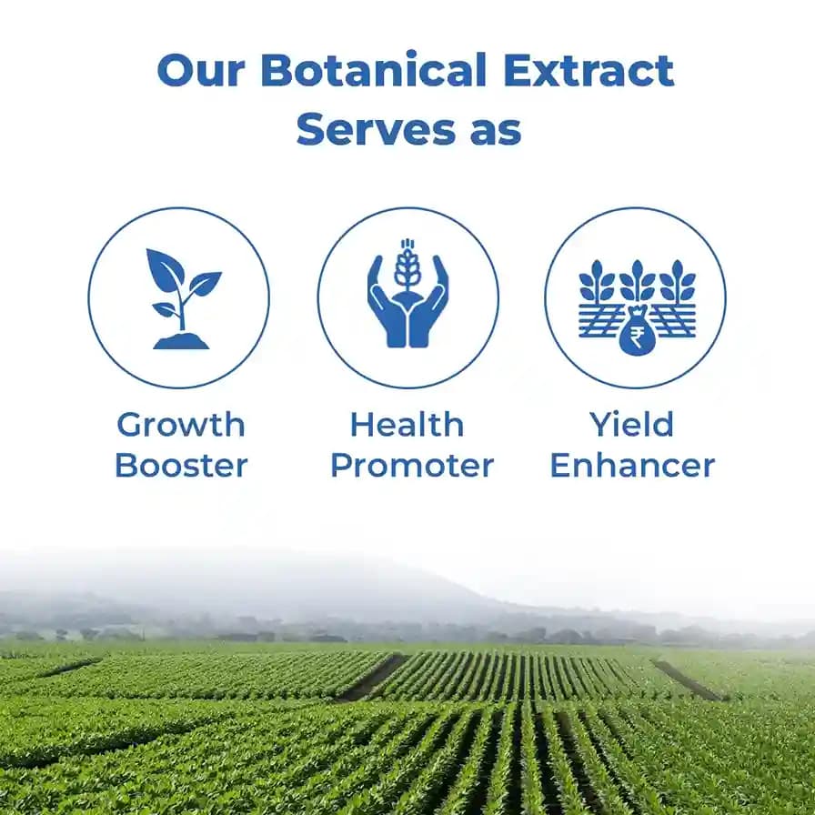 Chilli Virus Special For Pre-Treatment (Set of Alpha 250 ML + Nio Star 100 ML + Hubel 900 GM) Best Effect On Chilli Virus - Image 4