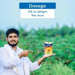 Bayer Lesenta - Imidacloprid 40% + Fipronil 40% ww WG (80 WG) Low Dose and Highly Effective Controls, Best Suited For White Grub Control 5