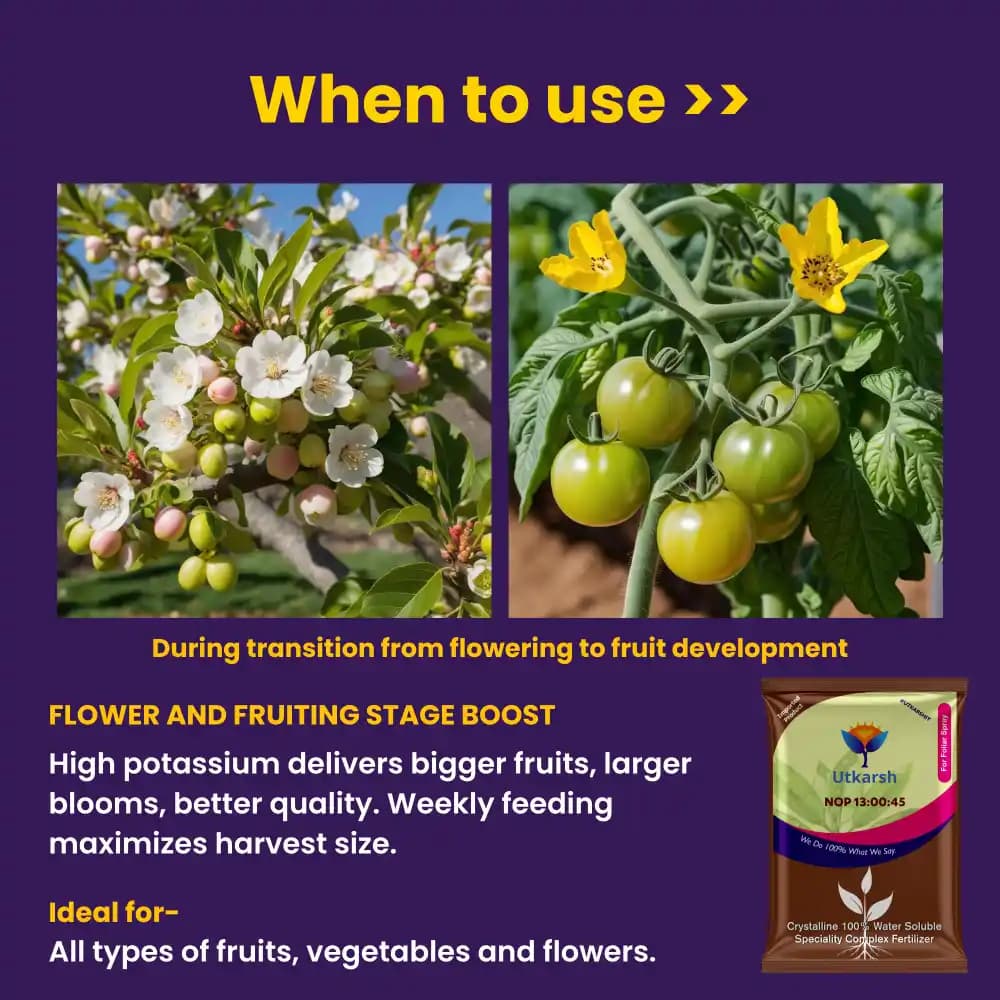 Utkarsh NOP 13:00:45 (Potassium Nitrate) KNO3 (100% Water Soluble Complex Fertilizer), Best for Drip Irrigation - Image 5