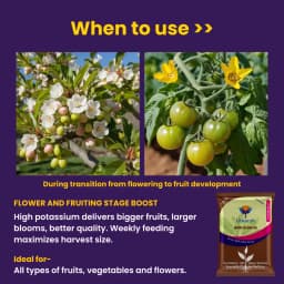 उत्कर्ष एनओपी 13:00:45 (पोटेशियम नाइट्रेट) केएनओ3 (100% पानी में घुलनशील समूह उर्वरक), बूंद से सिंचाई के लिए सर्वश्रेष्ठ 5