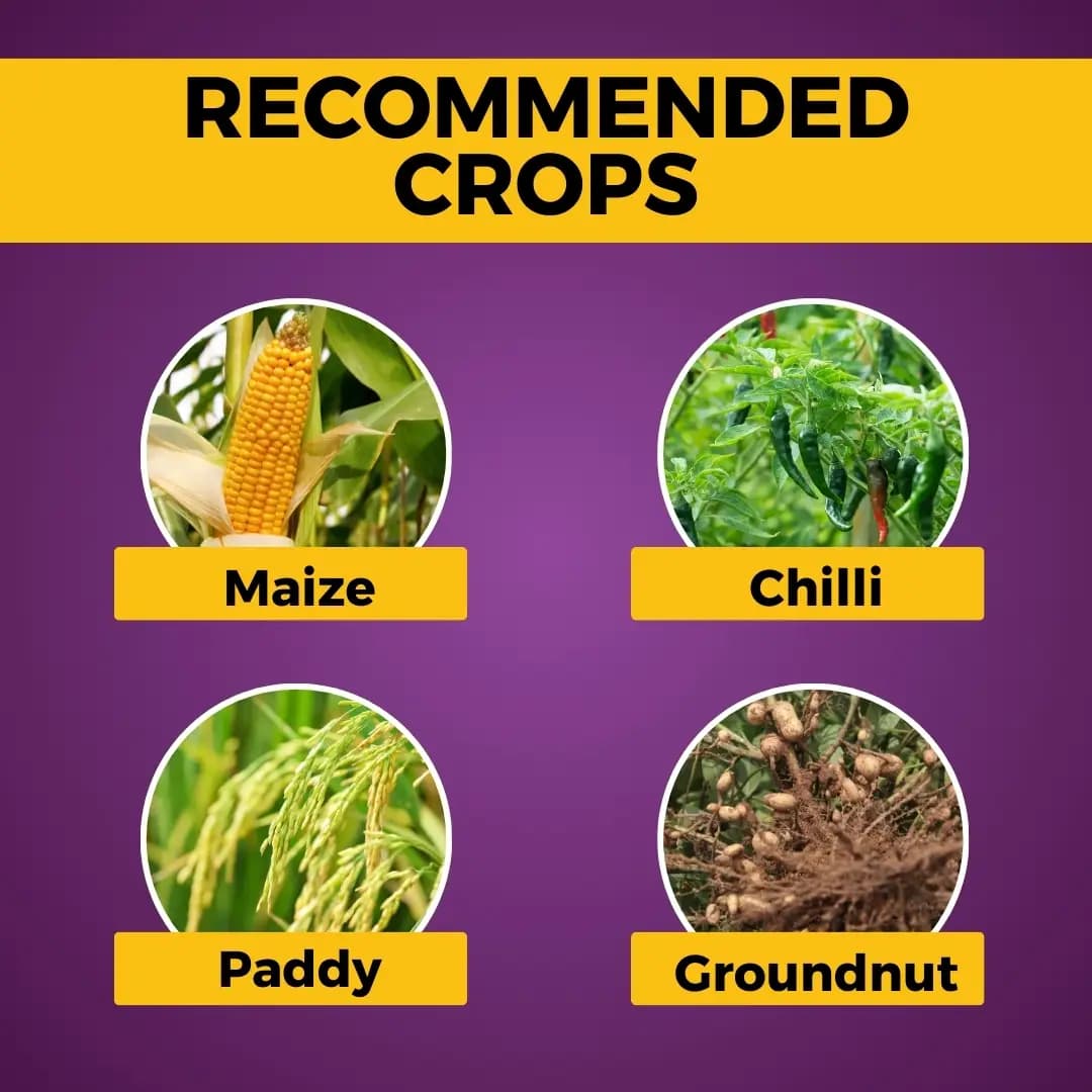 Katyayani Azodharma Fungicide - Image 4