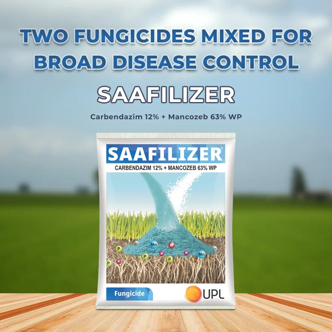UPL SAAFILIZER Carbendazim 12% + Mancozeb 63% WP, Best Fungicide for all Fungal Problems - Image 2
