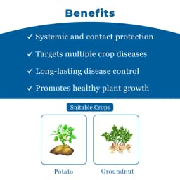 इंडोफिल स्प्रिंट कार्बेन्डाजिम 25% + मैन्कोजेब 50% डब्ल्यूएस, व्यापक स्पेक्ट्रम संपर्क और प्रणालीगत कवकनाशी। 4