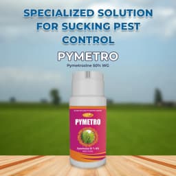 Pymetro Insecticide - Pymetrozine 50% WG 2
