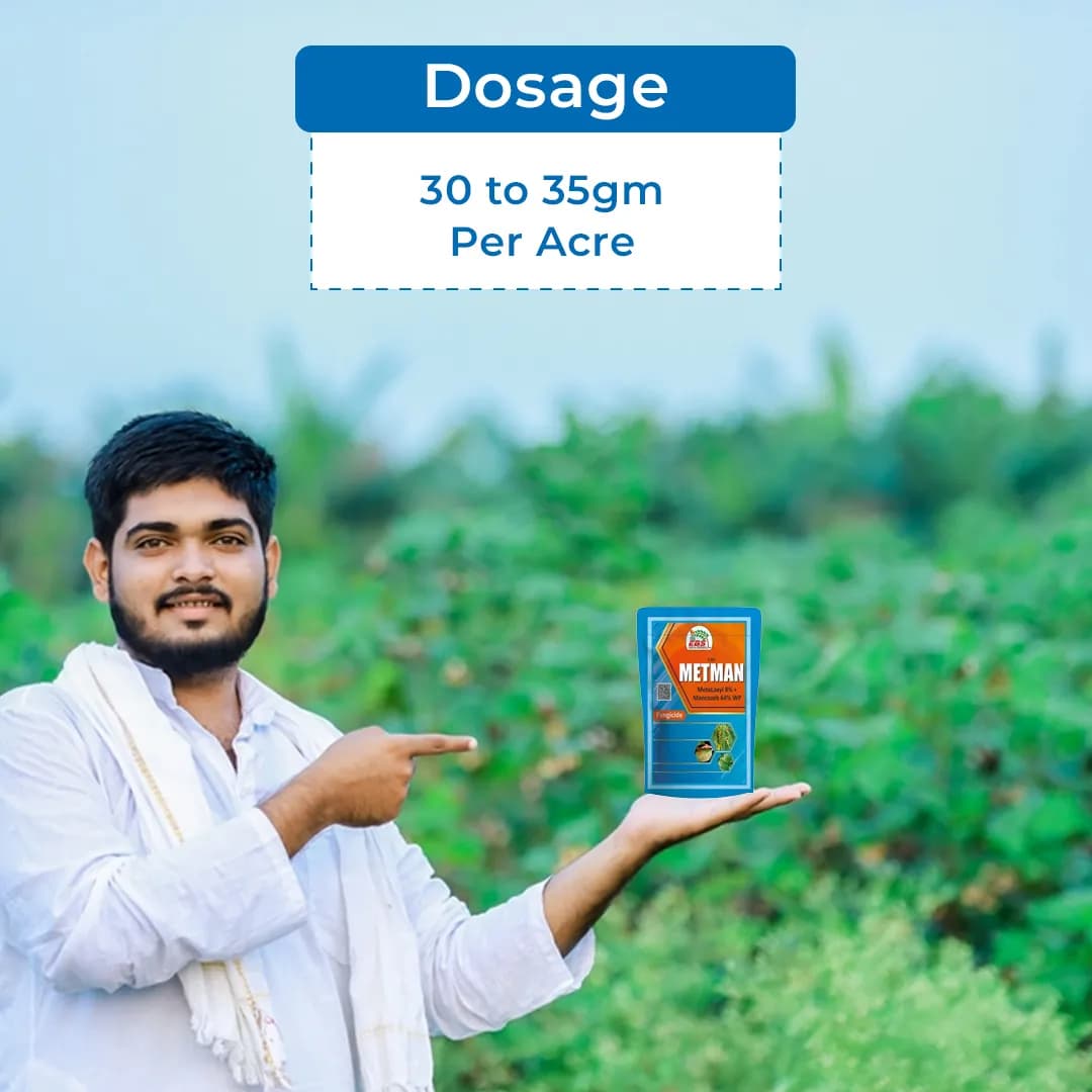 EBS Metman Fungicide - Image 5