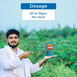 EBS Metman Fungicide - Metalaxyl 8% + Mancozeb 64% WP 5