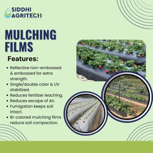 Siddhi Mulch Film Mulching Sheet, (1 Meter Width X 400 Meters Length) Black And White For Agriculture & Horticulture - Image 7