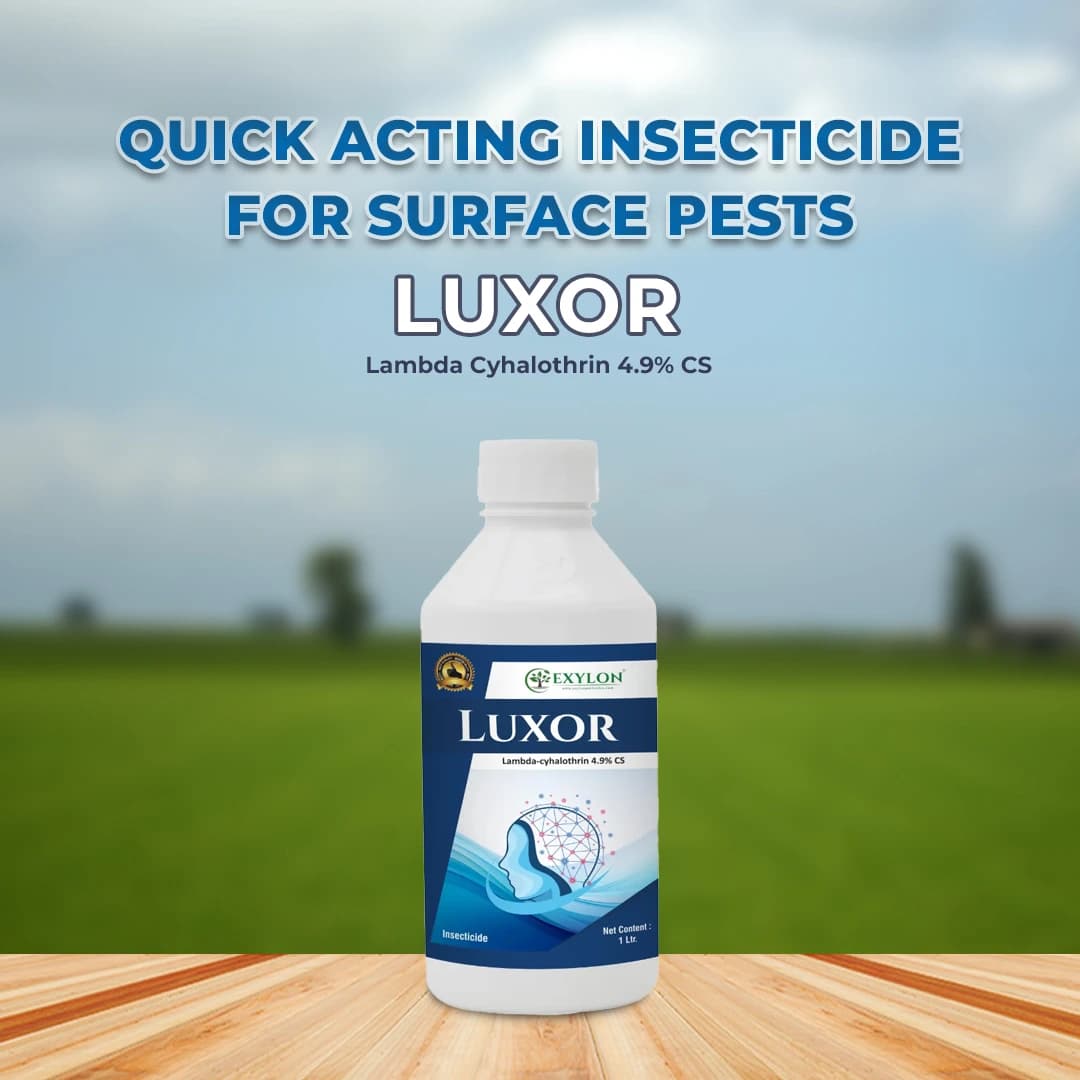 Exylon Luxor Insecticide - Lambda Cyhalothrin 4.9% CS - Image 2
