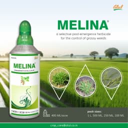 Atul MELINA Fenoxaprop-p-ethyl 9.3% EC Hebicide, Control Of Grassy Weeds In Soybean, Paddy, Black Gram And Cotton Crops 5