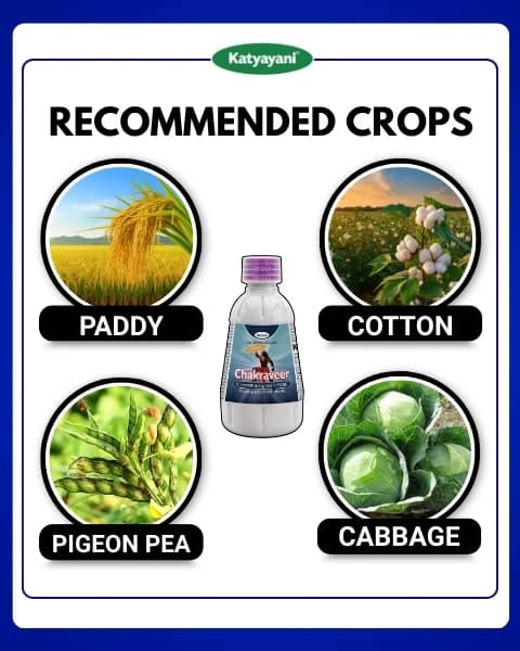 Katyayani Chakraveer Chlorantraniliprole 18.5% SC Insecticide, Advanced Effective Pest Control and Crop Protection - Image 4