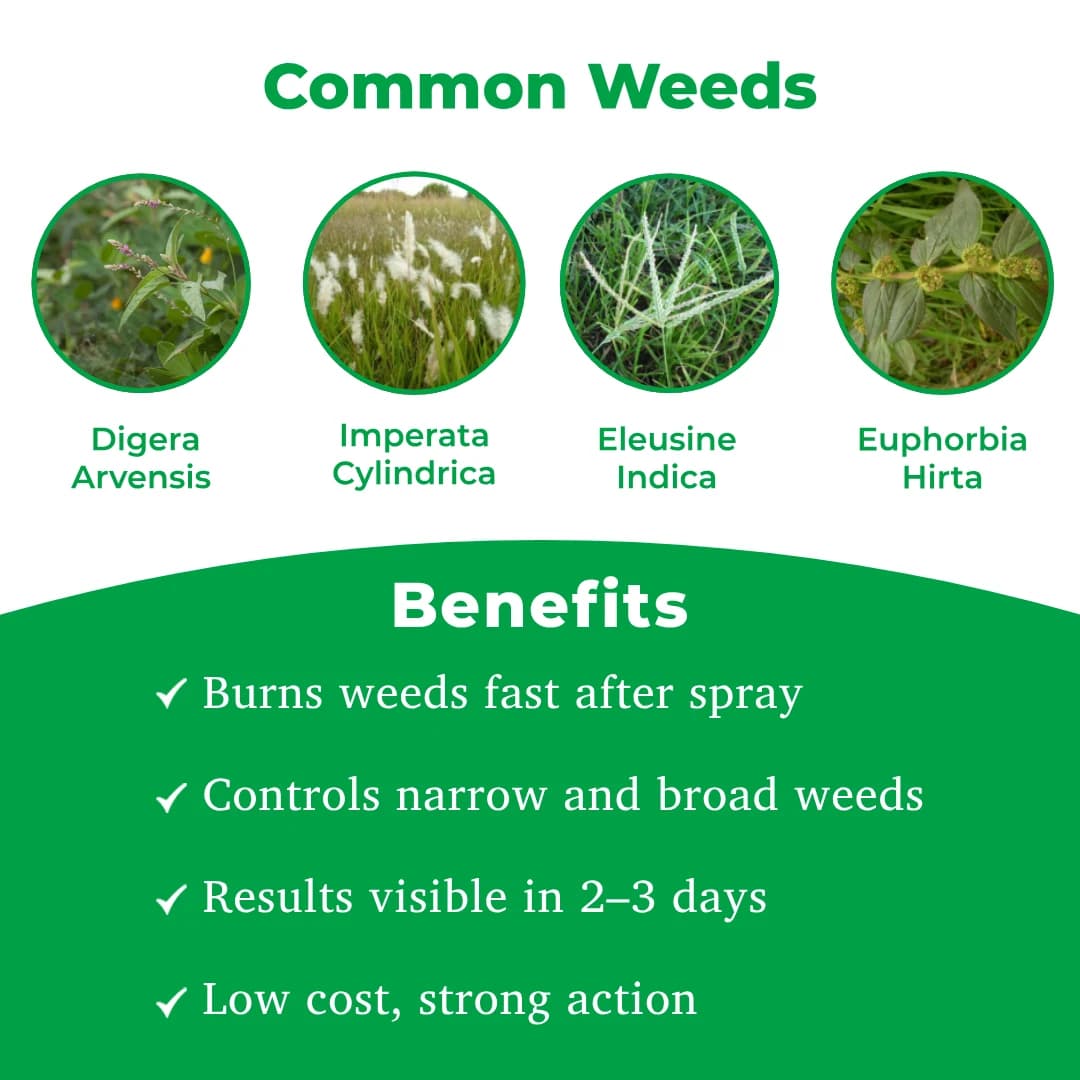 Krishi Rasayan Kapiq Herbicide - Image 3