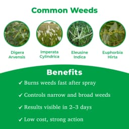 Krishi Rasayan Kapiq Paraquat Dichloride 24% SL Herbicide, Classified Broad Spectrum, Non Selective For Cotton, Tea And Potato 3