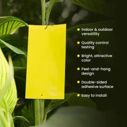 IFFCO Urban Garden Sticky Traps Pest Control, High-Quality Durable Waterproof & UV-Resistant (Yellow & Blue) 5