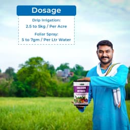 Gacil Calcium Nitrate for Fruit and Vegetable Plant Growth, Boosts Flowering and Fruit Holding Capacity 5