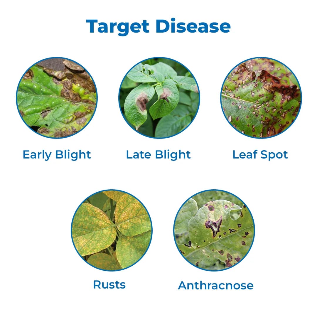ईबीएस सुसेफ कार्बेन्डाजिम 12% + मैन्कोज़ेब 63% डब्ल्यूपी, ब्रॉड स्पेक्ट्रम सिस्टमिक फफूंदनाशक, कई रोगों के विरुद्ध प्रभावी - Image 3