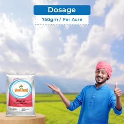 Mahadhan NPK 13:40:13, 100% Water Soluble Fertilizer, Balanced Vegetative Growth, Profuse Flowering And Fruiting 5