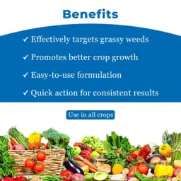 Crystal Avtaar Clodinafop Propargyl 15% WP Herbicide, Controls Narrow Leaf Weeds In Wheat Crop 4