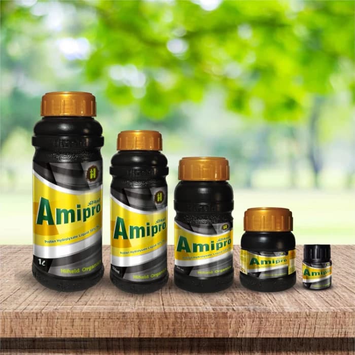 Hifield Amipro 30% SL Protien Hydrolysate Liquid. Amino Acid, Organic Nitrogen Supplement, Proteins Supplement, Energy booster, Immunity Booster. - Image 5