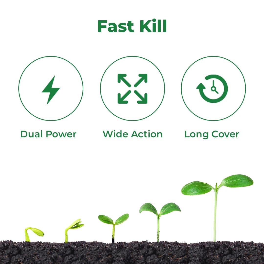 Dhanuka Super D Chlorpyriphos 50% + Cypermethrin 5% EC Insecticide, Systemic And Contact, Effective For Sucking And Chewing Pests In Cotton - Image 3