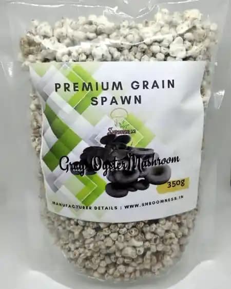 SporeKart Oyster Mushroom Combo ( Pink, yellow, Gray, White ), 350 GM Each. - Image 2