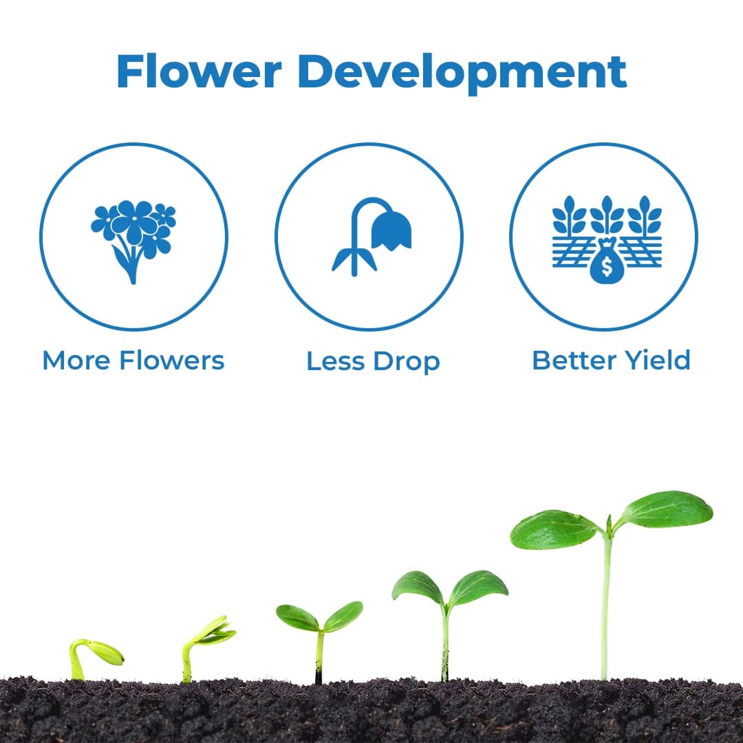 Bloom Flower Fertilizer - Flowering Stimulant - Image 3