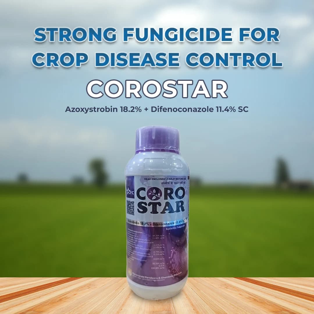 Coromandel Corostar Azoxystrobin 18.2% + Difenoconazole 11.4% Sc Contact and Systemic Fungicide - Image 2