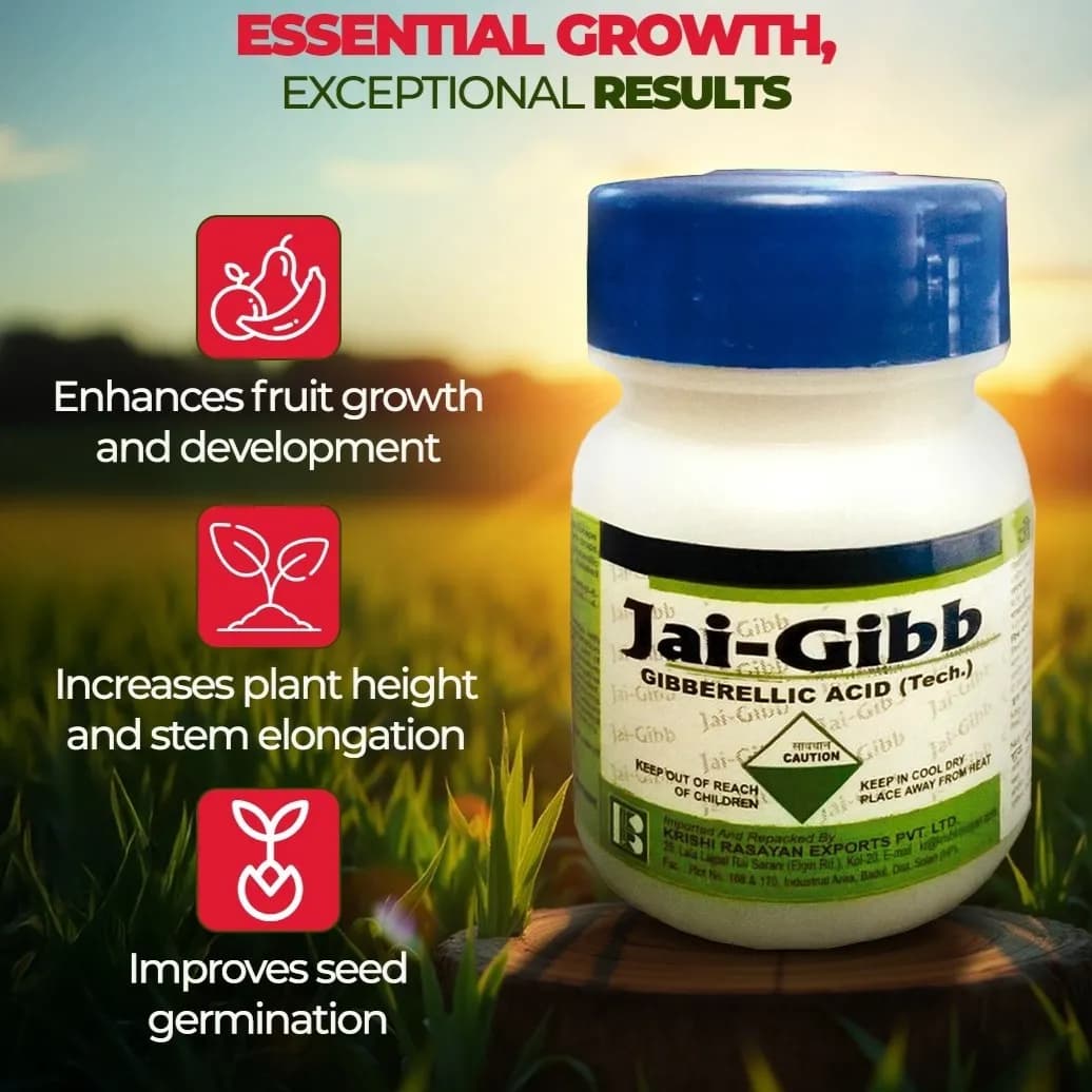 Krishi Rasayan Jai-Gibb Gibbrellic Acid Tech 90% Plant Growth Regulator For Fruit Set And Crop Development - Image 2