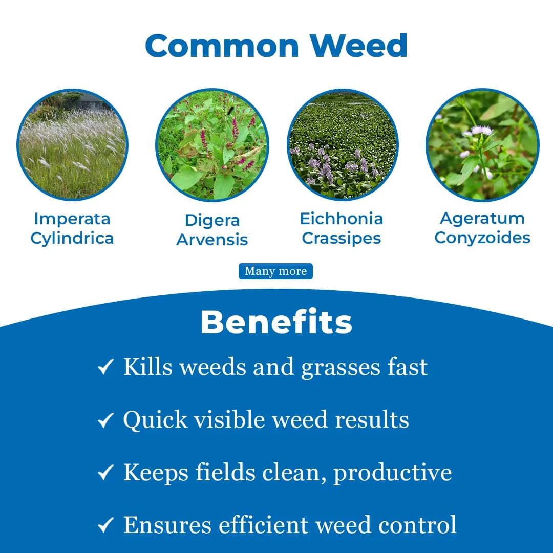 Dhanuka Ozone Herbicide - Image 3