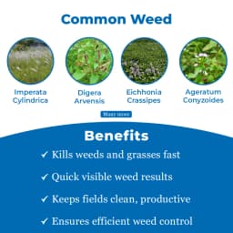 Dhanuka Ozone Paraquat Dichloride 24% SL, Broad-Spectrum, Non Selective Contact Herbicide 3