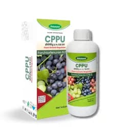 Katyayani CPPU Forchlorfenuron 0.01% L Plant Growth Regulator For Enhancing Fruit Size Quality and Yield in Various Crops 2
