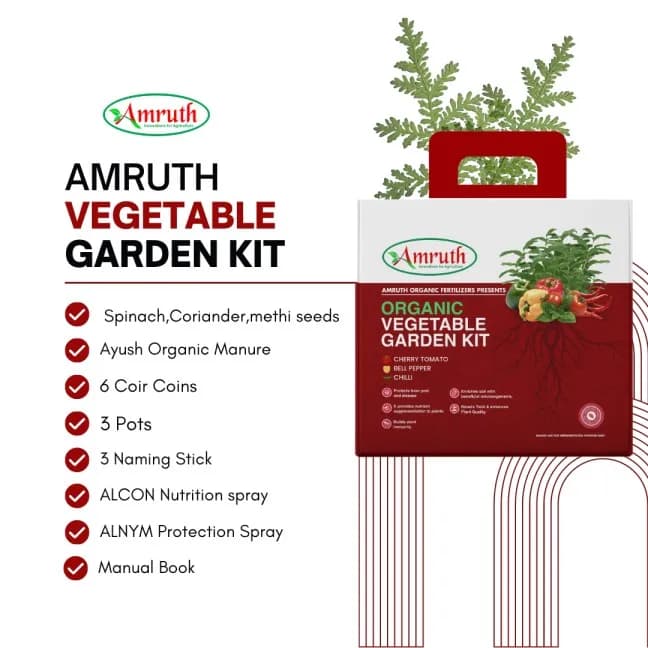 Amruth Organic Vegetable Kit, Garden Kit, DIY Kit, Grow Your Own Vegetables - Image 4