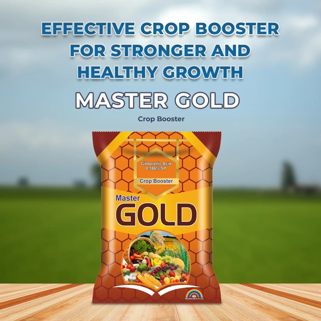 Master Gold - Crop Booster Fertilizer - Image 2