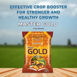 MD Biocoals MASTER GOLD Gibberellic Acid 0.186% SP Crop Booster, Increase Growth, Color, Glow, Size And Weight Of Fruit 2