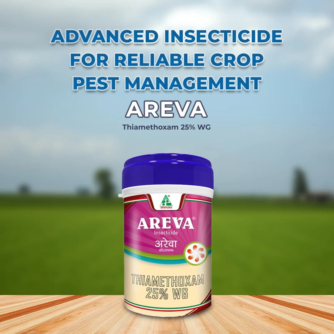 Dhanuka AREVA Thiamethoxam 25% WG Insecticide, Broad Spectrum For Aphids, Thrips And Whiteflies - Image 2