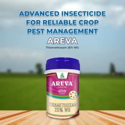 Dhanuka AREVA Thiamethoxam 25% WG Insecticide, Broad Spectrum For Aphids, Thrips And Whiteflies 2