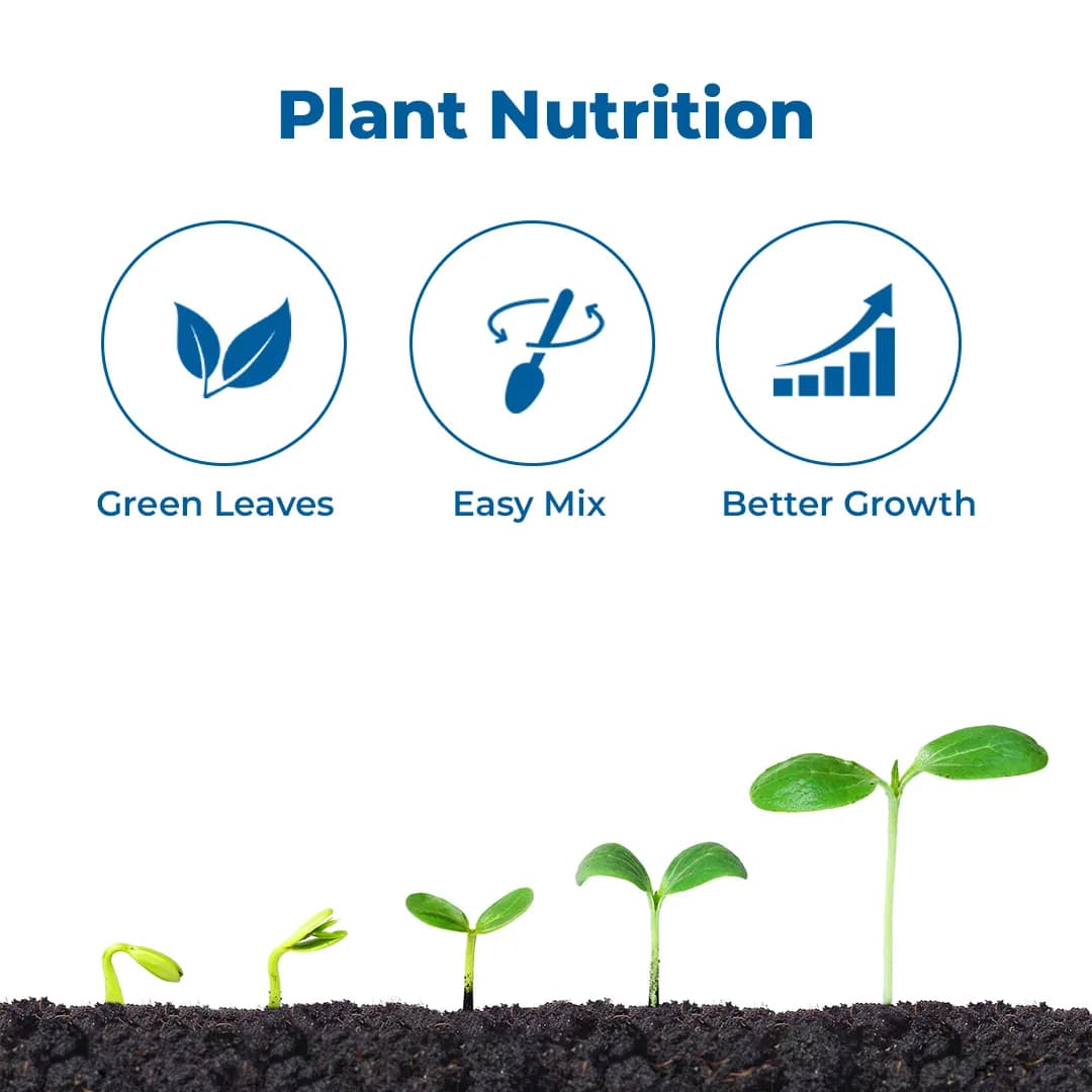 Agriventure Magnesium Sulphate 9.5%, Imported 100% Water Soluble Fertilizer, Increases Greenness and Ultimately Results in Yield and Crop Quality - Image 3