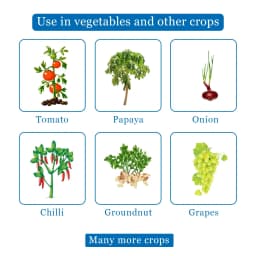 EBS Trichoderma Harzianum Liquid Bio Fungicide, Used As a Fungicide Cum Nematicide 4