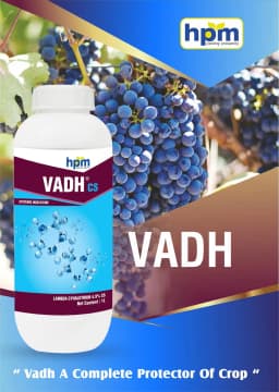 Hpm Vadh CS Lambda Cyhalothrin 4.9% CS Insecticide, Contact and Stomach Action 2