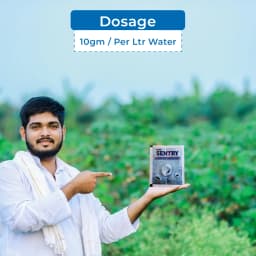 TATA Rallis SENTRY Lambda Cyhalothrin 10% WP Insecticide, Pest Control For Mosquitoes 5