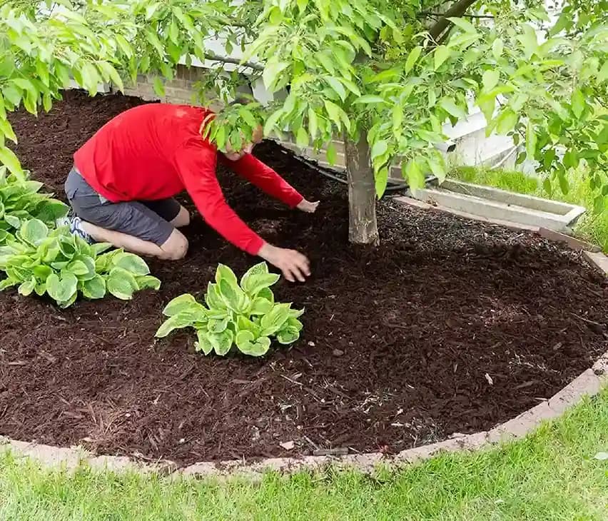 Siddhi Weed Control Mat 110 GSM - Image 11