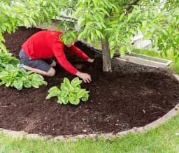 Siddhi Weed Mat 110 GSM Garden Weed Fabric Heavy-Duty Weed Block Gardening Mat Eco-Friendly Weed 11