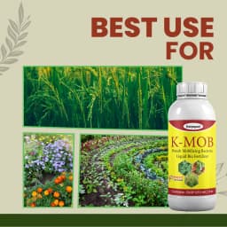 Katyayani K-MOB Potash Mobilizing Bacteria Bio Fertilizer, Boosting Soil Potash Availability For Enhanced Crop Health 5