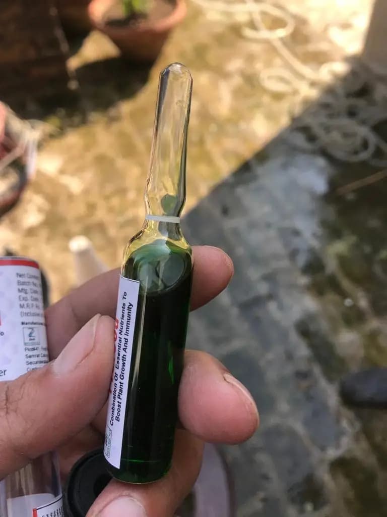 Zeal Biological Profood Plant Growth Promoter, Increases Seed Germination And Shoot Growth, Resulting In Higher Yield - Image 4