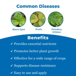 TIGER N 20 - Liquid Sulphur Is An Effective Fungicide and Plant Nutrient. 3