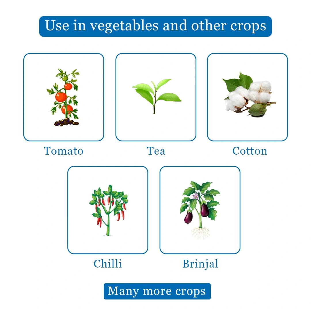 Katyayani Ema5 Insecticide - Image 5